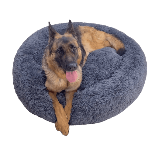 The Best Dog Bed Canine Apha