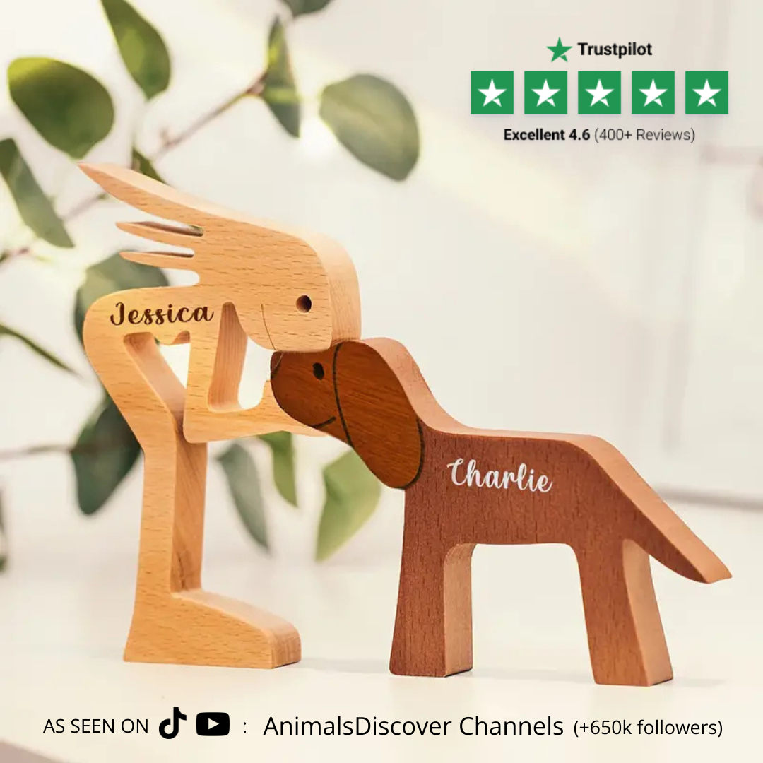 Personalised Dog Figurine