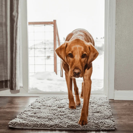 CleanPaw® Mat